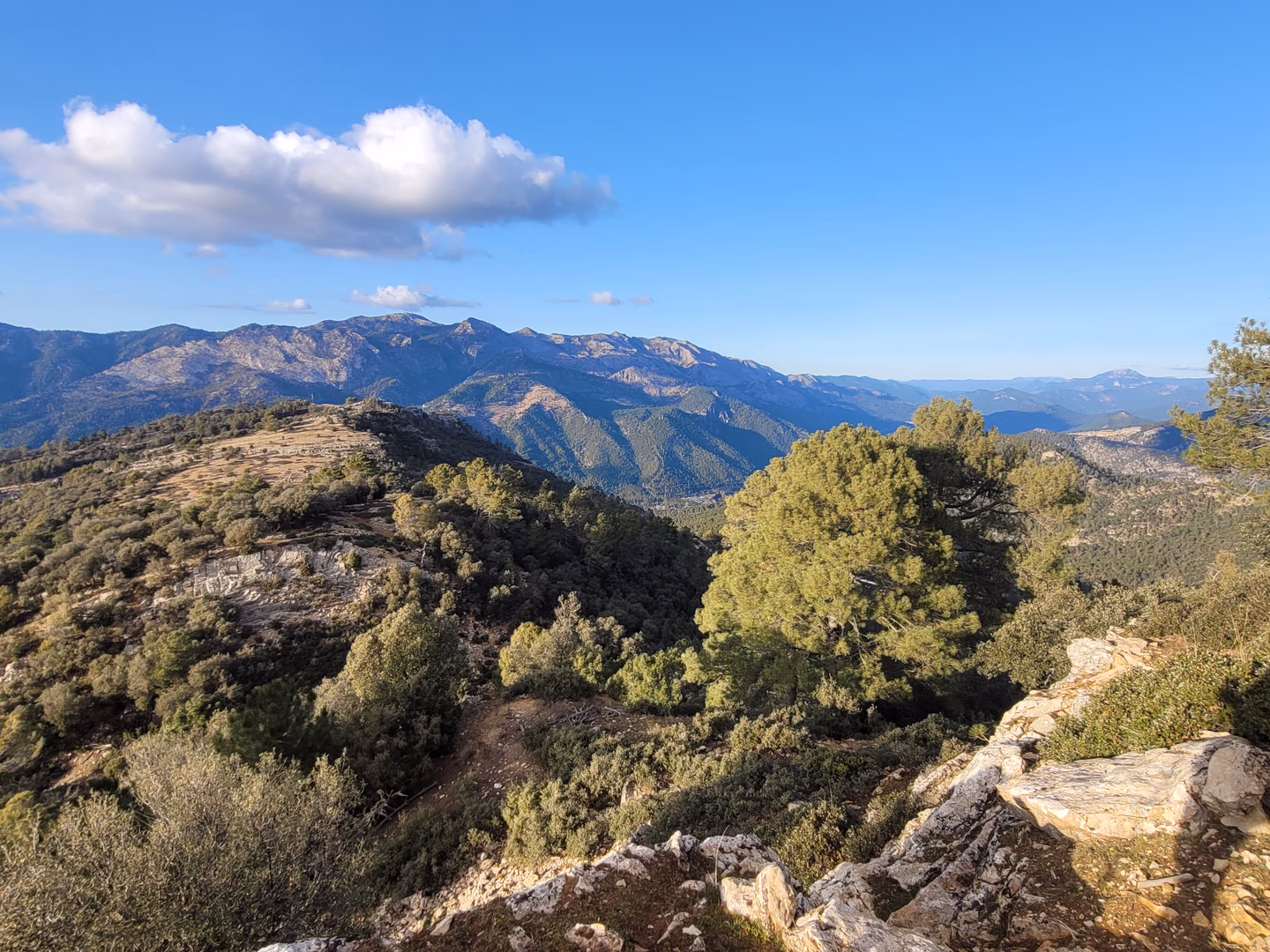 Panorámica de un paisaje forestal montañoso de Castilla-La Mancha